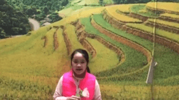 Bài dự thi cuộc thi "Lời chúc yêu thương"