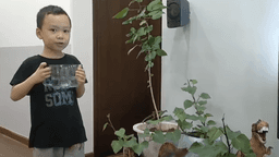 Bài dự thi cuộc thi "Lời chúc yêu thương"