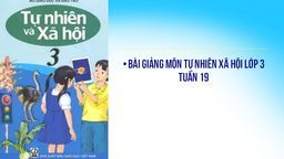 Bài giảng môn TNXH lớp 3 Tuần 19 TNXH Vệ sinh môi trường  (Tiếp theo)