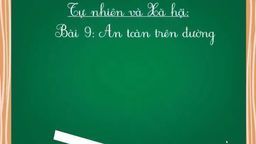 Bài giảng môn TNXH lớp 1 tuần 15