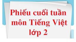 Phiếu bài tập cuối tuần lớp 2
