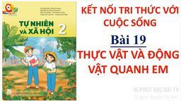 Bài giảng môn Tự nhiên và xã hội lớp 2 - Bài 19 Thực vật và động vật quanh em Tiết 1