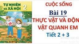 Bài giảng môn Tự nhiên và xã hội lớp 2 - Bài 19 Thực vật và động vật quanh em Tiết 2,3