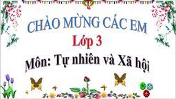 Bài giảng Tuần 17 - TNXH - An toàn khi đi xem đạp