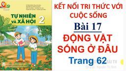 Bài giảng môn TNXH lớp 2 tuần 18 - Động vật sống ở đâu T1
