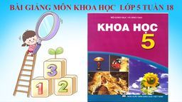 Bài giảng môn Khoa học lớp 5 tuần 18 -Bài 35 : Sự chuyển thể của chất