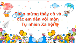 Bài giảng môn Tự nhiên và xã hội lớp 2 - Bài 16 Thực vật sống ở đâu