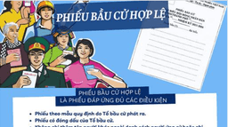 Cử tri tiến hành bỏ phiếu như thế nào?