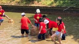 HỌC SINH TRƯỜNG TIỂU HỌC HOÀNG DIỆU TRẢI NGHIỆM THỰC TẾ TẠI TRANG TRẠI VẠN AN VÀ HẢI ĐĂNG THANH TRÌ - HÀ  NỘI