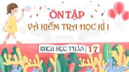 Bài giảng môn Khoa học 4 - Tuần 17 - Bài 33 ôn tập