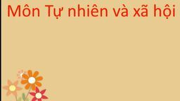 Bài giảng môn Tự nhiên &amp; Xã hội lớp 1- Bộ sách Cánh Diều: Bài 11: Các con vật quanh em