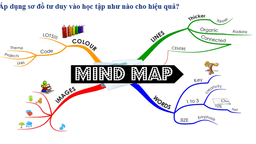 Áp dụng sơ đồ tư duy vào học tập như nào cho hiệu quả?