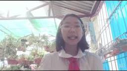 Học sinh trường Tiểu học Hoàng Diệu hưởng ứng tháng nói không với rác thải nhựa dùng một lần
