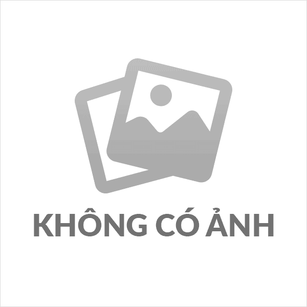 Bài viết về HS trường TH Hoàng Diệu trải nghiệm vườn chè làng Ba Trại Ba Vì Hà Nội