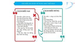 Học sinh tiểu học nói không với văn mẫu