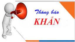 Trường tiểu học Hoàng Diệu thông báo thay đổi hình thức tuyển sinh trực tiếp vào lớp 1 năm học 2021 – 2022