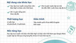Trường tiểu học Hoàng Diệu triển khai:Chương trinh sinh hoạt hè Tiếng Anh 2021 miễn phí dành cho học sinh