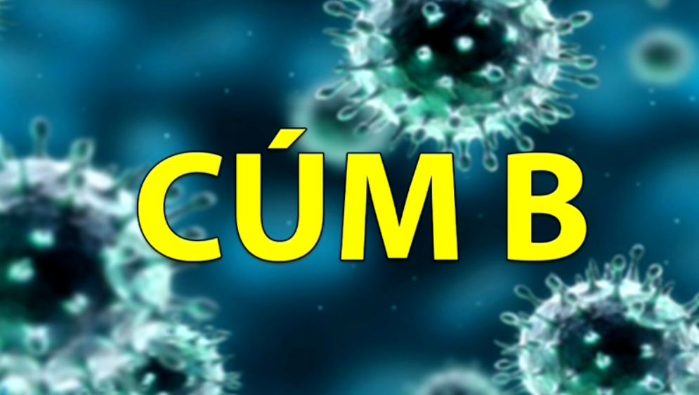 Những thông tin về bệnh cúm B cha mẹ cần biết