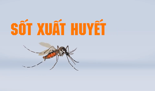 Những điều nên làm để phòng bệnh sốt xuất huyết