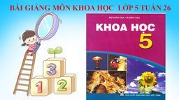 BÀI GIẢNG MÔN KHOA HỌC 5 - TUẦN 26-  SỰ SINH SẢN CỦA THỰC VẬT CÓ HOA