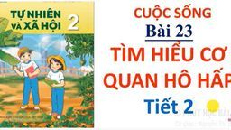 Bài giảng môn Tự nhiên xã hội lớp 2 - Tuần 26- Bài 23 Tìm hiểu cơ quan hô hấp Tiết 2