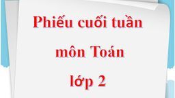 Phiếu bài tập cuối tuần môn Toán lớp 2 tuần 25
