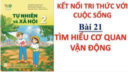 Bài giảng môn Tự nhiên xã hội lớp 2  - Tuần 23 - Bài 21 Tìm hiểu cơ quan vận động Tiết 1