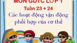 Bài giảng môn Thể dục lớp 1 Tuần 23 - 24