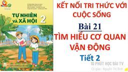 Bài giảng môn Tự nhiên xã hội lớp 2 - Tuần 24 - Bài 21 Tìm hiểu cơ quan vận động Tiết 2