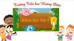 BÀI GIẢNG MÔN KHOA HỌC LỚP 4: - TUẦN 24 -  BÀI 47 - 48: ÁNH SÁNG CẦN CHO SỰ SỐNG