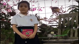 Bài dự thi "Cuộc thi làm video giới thiệu sách" của học sinh Phạm Kim Anh -Lớp 1A7  trường TH Hoàng Diệu