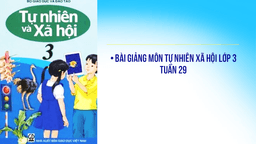 Bài giảng môn TNXH - Lớp 3 - Tuần 29 - Bài 56 57: Thực hành - Đi thăm thiên nhiên