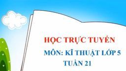 Bài giảng Môn: Kĩ Thuật Lớp 5 - Tuần 21: Vệ sinh phòng bệnh cho Gà