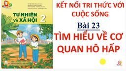 Bài giảng môn Tự nhiên và xã hội lớp 2 - Tuần 25 -  Bài 23 Tìm hiểu cơ quan hô hấp