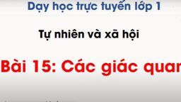 Bài giảng môn Tự nhiên xã hội lớp 1 - Tuần 25 - Bài 15: Các giác quan