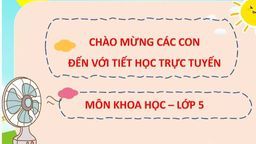 Bài giảng môn Khoa học Lớp 5 - Bài 49-50 Ôn tập Vật chất và năng lượng (tiết 2)