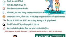Tất cả thông tin về 2 loại vaccine phòng COVID-19 sẽ tiêm cho trẻ từ 5 - dưới 12 tuổi, phụ huynh cần biết
