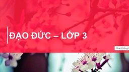 Bài giảng môn Đạo lớp 3  Tuần 21  Tôn trọng  khách nước ngoài