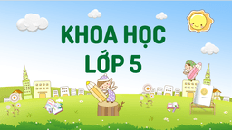 BÀI GIẢNG MÔN KHOA HỌC - LỚP 5 - TUẦN 29 - SỰ SINH SẢN VÀ NUÔI CON CỦA LOÀI CHIM