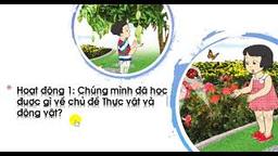 Bài giảng môn TNXH lớp 1 - Ôn tập và đánh giá chủ đề thực vật và động vật Tiết 1,2