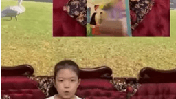 Bài dự thi "Cuộc thi làm video giới thiệu sách" của  học sinh  Tạ Nguyễn Khánh Vy - Lớp 3A4 trường TH Hoàng Diệu