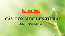 Bài giảng môn Khoa học 5: Cây con mọc lên từ hạt hoặc thân, lá, rễ của cây mẹ - Tuần 27