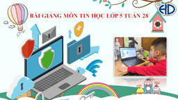 Bài giảng môn Tin học lớp 5 tuần 28