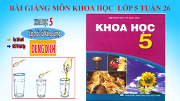 Bài giảng môn Khoa học Lớp 5 - Tuần 28 - Sự sinh sản của côn trùng