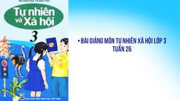 Bài goảng môn TNXH  Lớp 3 -  Tuần 26  Tôm, cua, cá