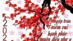 Học sinh Nguyễn Huy Bảo - lớp 5A3 Tìm hiểu về tết cổ truyền của Việt Nam