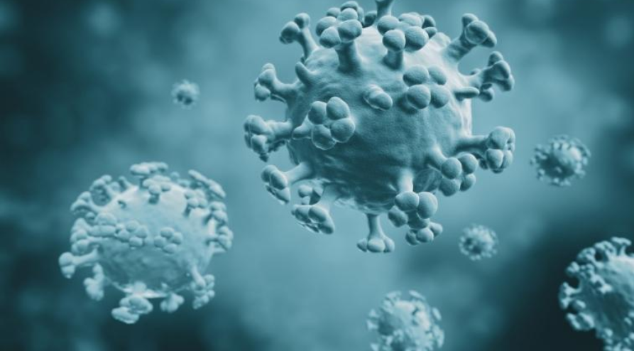 Bài thuốc hỗ trợ điều trị cúm A