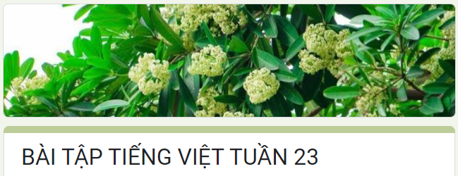Bài tập Tiếng Việt cuối tuần 23 - Lớp 5