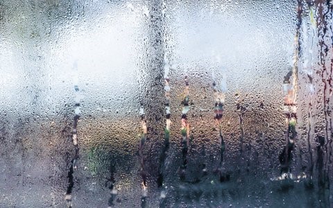10 mẹo chăm sóc sức khỏe gia đình trong thời tiết mưa phùn, nồm ẩm