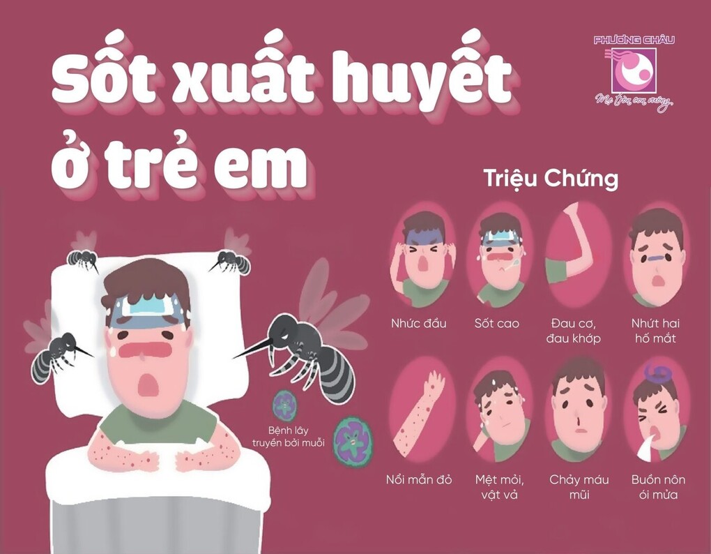 6 điều cần làm để phòng bệnh sốt xuất huyết